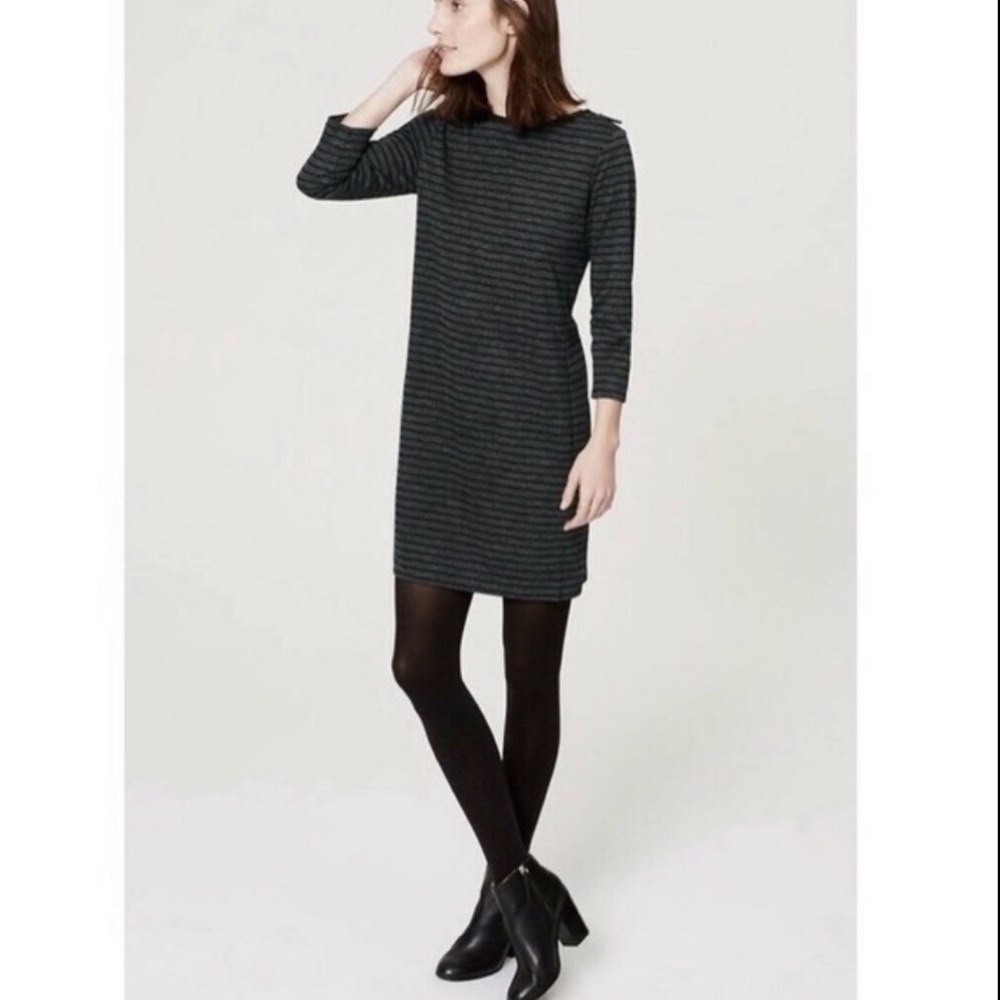 Ann Taylor Loft Shift Dress